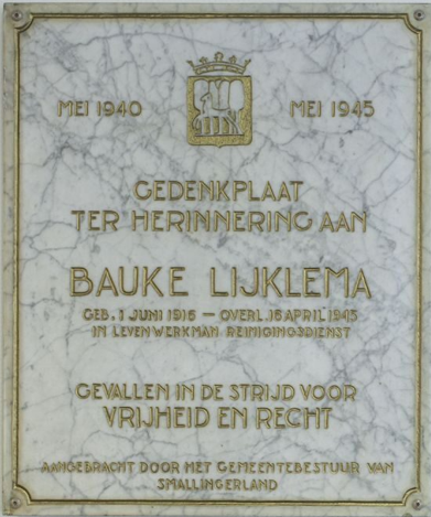 Afbeelding 16.1. Bauke Lijklema